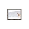 Picture of Winter Stag _GroupedProduct_Rectangle_Landscape_Canvas_Framed_