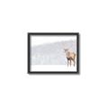 Picture of Winter Stag _GroupedProduct_Rectangle_Landscape_Canvas_Framed_