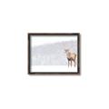 Picture of Winter Stag _GroupedProduct_Rectangle_Landscape_Canvas_Framed_