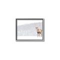 Picture of Winter Stag _GroupedProduct_Rectangle_Landscape_Canvas_Framed_