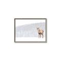 Picture of Winter Stag _GroupedProduct_Rectangle_Landscape_Canvas_Framed_