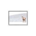 Picture of Winter Stag _GroupedProduct_Rectangle_Landscape_Canvas_Framed_