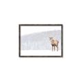 Picture of Winter Stag _GroupedProduct_Rectangle_Landscape_Canvas_Framed_