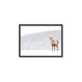 Picture of Winter Stag _GroupedProduct_Rectangle_Landscape_Canvas_Framed_
