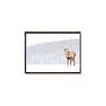 Picture of Winter Stag _GroupedProduct_Rectangle_Landscape_Canvas_Framed_