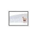 Picture of Winter Stag _GroupedProduct_Rectangle_Landscape_Canvas_Framed_