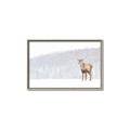 Picture of Winter Stag _GroupedProduct_Rectangle_Landscape_Canvas_Framed_