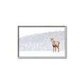 Picture of Winter Stag _GroupedProduct_Rectangle_Landscape_Canvas_Framed_