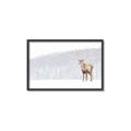 Picture of Winter Stag _GroupedProduct_Rectangle_Landscape_Canvas_Framed_