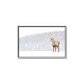 Picture of Winter Stag _GroupedProduct_Rectangle_Landscape_Canvas_Framed_