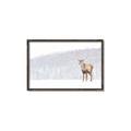 Picture of Winter Stag _GroupedProduct_Rectangle_Landscape_Canvas_Framed_