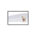 Picture of Winter Stag _GroupedProduct_Rectangle_Landscape_Canvas_Framed_