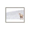 Picture of Winter Stag _GroupedProduct_Rectangle_Landscape_Canvas_Framed_