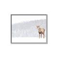 Picture of Winter Stag _GroupedProduct_Rectangle_Landscape_Canvas_Framed_