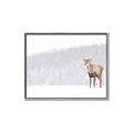 Picture of Winter Stag _GroupedProduct_Rectangle_Landscape_Canvas_Framed_