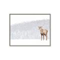 Picture of Winter Stag _GroupedProduct_Rectangle_Landscape_Canvas_Framed_