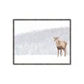 Picture of Winter Stag _GroupedProduct_Rectangle_Landscape_Canvas_Framed_