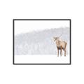 Picture of Winter Stag _GroupedProduct_Rectangle_Landscape_Canvas_Framed_