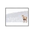 Picture of Winter Stag _GroupedProduct_Rectangle_Landscape_Canvas_Framed_