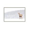 Picture of Winter Stag _GroupedProduct_Rectangle_Landscape_Canvas_Framed_