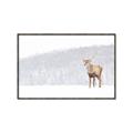 Picture of Winter Stag _GroupedProduct_Rectangle_Landscape_Canvas_Framed_