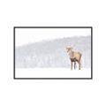 Picture of Winter Stag _GroupedProduct_Rectangle_Landscape_Canvas_Framed_
