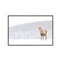 Picture of Winter Stag _GroupedProduct_Rectangle_Landscape_Canvas_Framed_
