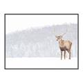 Picture of Winter Stag _GroupedProduct_Rectangle_Landscape_Canvas_Framed_