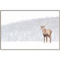 Picture of Winter Stag _GroupedProduct_Rectangle_Landscape_Canvas_Framed_