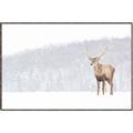 Picture of Winter Stag _GroupedProduct_Rectangle_Landscape_Canvas_Framed_