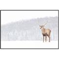 Picture of Winter Stag _GroupedProduct_Rectangle_Landscape_Canvas_Framed_