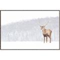 Picture of Winter Stag _GroupedProduct_Rectangle_Landscape_Canvas_Framed_