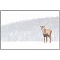 Picture of Winter Stag _GroupedProduct_Rectangle_Landscape_Canvas_Framed_