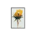 Picture of Yellow Bloom _GroupedProduct_Rectangle_Portrait_Photography _GroupedProduct_Rectangle_Portrait_Canvas_Framed_