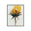Picture of Yellow Bloom _GroupedProduct_Rectangle_Portrait_Photography _GroupedProduct_Rectangle_Portrait_Canvas_Framed_
