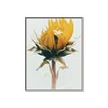 Picture of Yellow Bloom _GroupedProduct_Rectangle_Portrait_Photography _GroupedProduct_Rectangle_Portrait_Canvas_Framed_