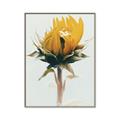 Picture of Yellow Bloom _GroupedProduct_Rectangle_Portrait_Photography _GroupedProduct_Rectangle_Portrait_Canvas_Framed_