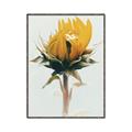 Picture of Yellow Bloom _GroupedProduct_Rectangle_Portrait_Photography _GroupedProduct_Rectangle_Portrait_Canvas_Framed_