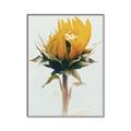 Picture of Yellow Bloom _GroupedProduct_Rectangle_Portrait_Photography _GroupedProduct_Rectangle_Portrait_Canvas_Framed_