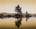 Picture of Mirrored Water _GroupedProduct_Rectangle_Landscape_Photography _GroupedProduct_Rectangle_Landscape_Unframed_Print_Only_