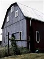Picture of On the Farm  _GroupedProduct_Rectangle_Portrait_Unframed_Print_Only_