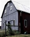 Picture of On the Farm  _GroupedProduct_Rectangle_Portrait_Unframed_Print_Only_