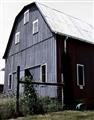 Picture of On the Farm  _GroupedProduct_Rectangle_Portrait_Unframed_Print_Only_