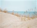 Picture of Sandy Beach  _GroupedProduct_Rectangle_Landscape_Photography _GroupedProduct_Rectangle_Landscape_Unframed_Print_Only_