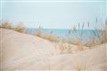 Picture of Sandy Beach  _GroupedProduct_Rectangle_Landscape_Photography _GroupedProduct_Rectangle_Landscape_Unframed_Print_Only_