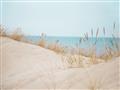 Picture of Sandy Beach  _GroupedProduct_Rectangle_Landscape_Photography _GroupedProduct_Rectangle_Landscape_Unframed_Print_Only_
