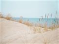 Picture of Sandy Beach  _GroupedProduct_Rectangle_Landscape_Photography _GroupedProduct_Rectangle_Landscape_Unframed_Print_Only_