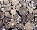 Picture of Stacked Logs _GroupedProduct_Rectangle_Landscape_Photography _GroupedProduct_Rectangle_Landscape_Unframed_Print_Only_