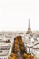 Picture of Touch of Mustard in Paris _GroupedProduct_Rectangle_Portrait_Photography _GroupedProduct_Rectangle_Portrait_Unframed_Print_Only_