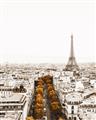 Picture of Touch of Mustard in Paris _GroupedProduct_Rectangle_Portrait_Photography _GroupedProduct_Rectangle_Portrait_Unframed_Print_Only_